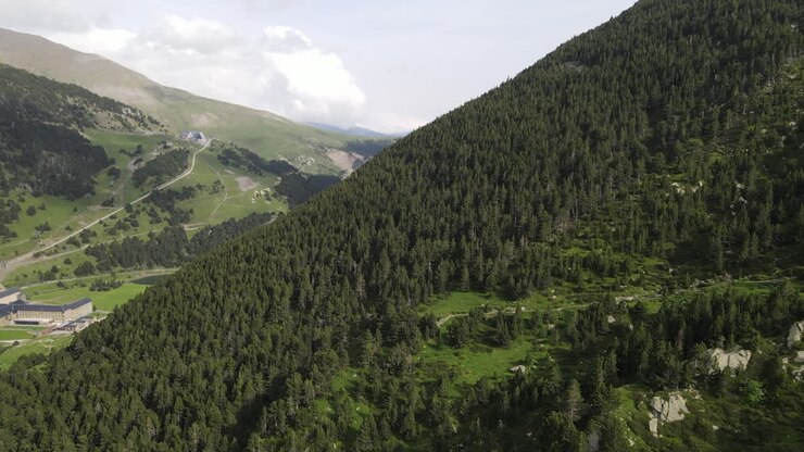 Aerial Shot Approaching A Mountainside Where A Lush Pine Forest Grows In The Pyrenees