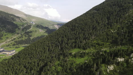 aerial shot approaching a mountainside where a lush pine forest grows in the pyrenees