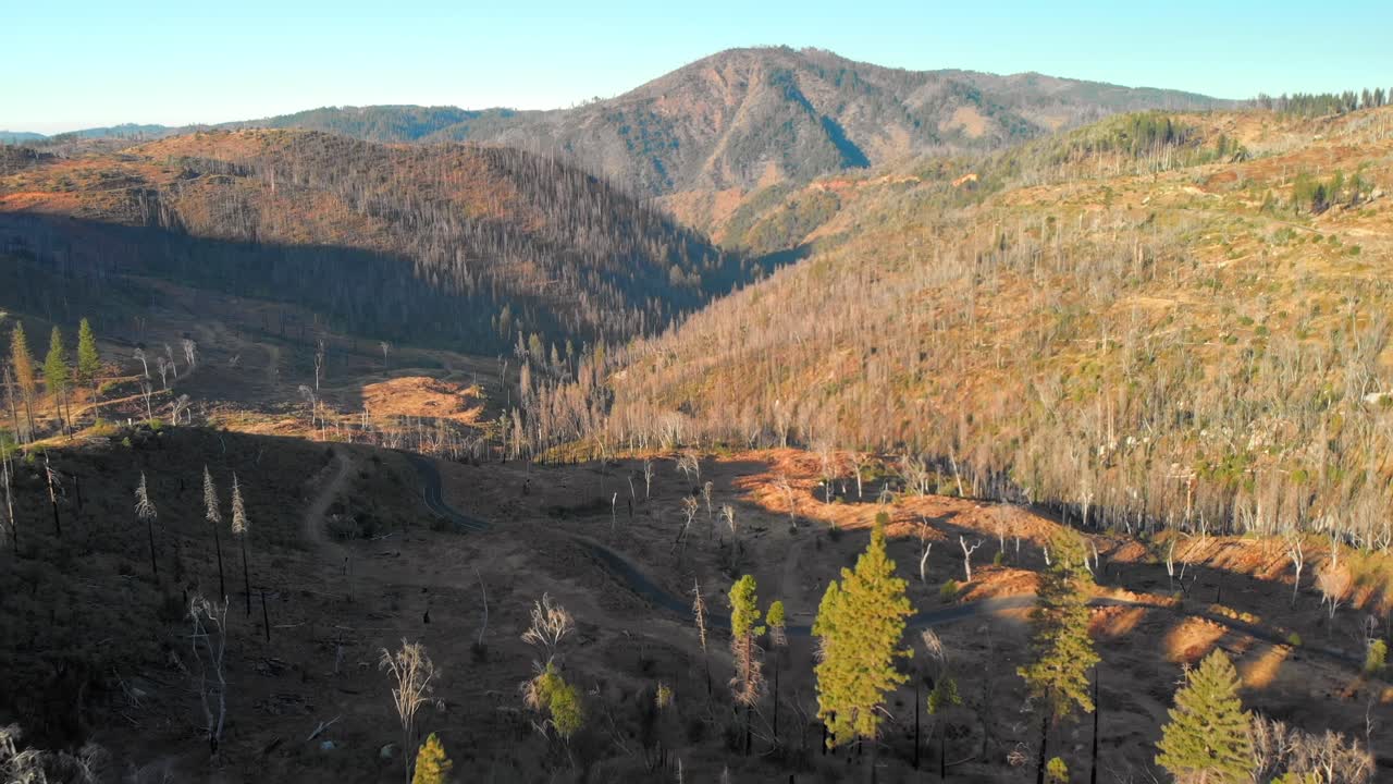 bosque y paisaje montañoso cerca del lago cherry en el condado de tuolumne, california - toma aérea