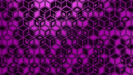 el fondo del rombo