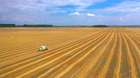 aerial view of rural landscape. combine during harvest on golden wheat field