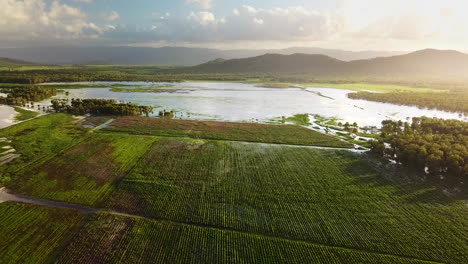 Drones-Volando-Sobre-Cultivos-Agrícolas-Inundados-Con-Captación-De-Agua,-Hermosas-Montañas-Y-Puesta-De-Sol-En-El-Fondo