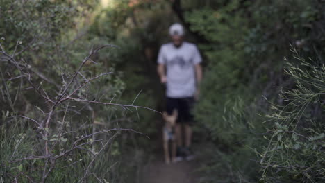 perderse en el bosque con un cachorro independiente en busca de direcciones