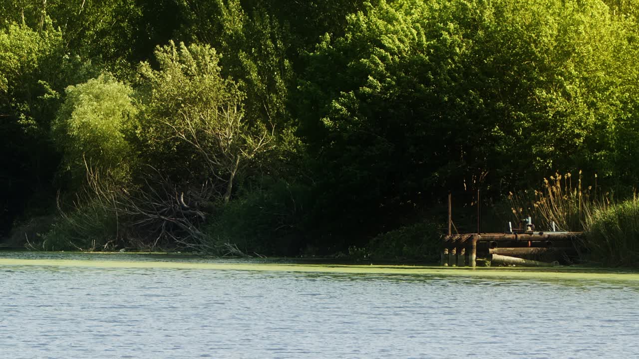 자연 속의 호수 물