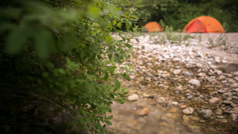 Lapso-De-Tiempo-De-Carpas-Fuera-De-Foco-A-Lo-Largo-De-Arroyo-Natural-Y-Arbustos