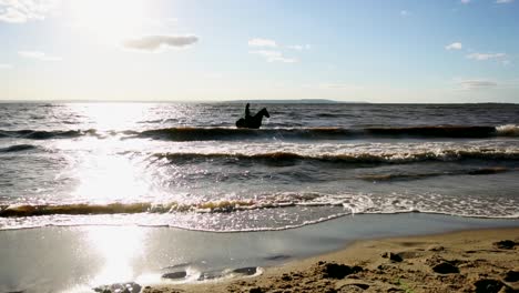 Horse Riding in the Ocean at Sunset
