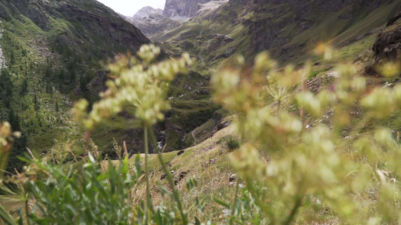 pintoresca vista de un pico de alta montaña en medio de los hermosos alpes