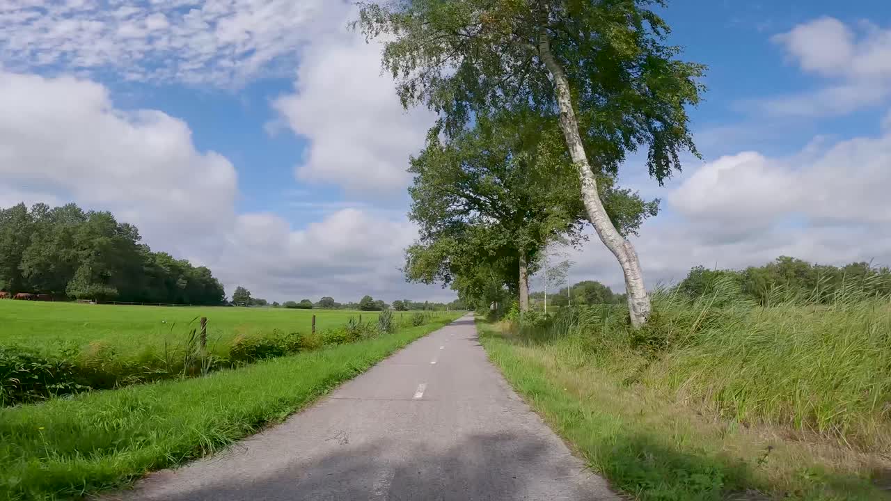POV Reis langs een boomrijk landweggetje op een zonnige dag.