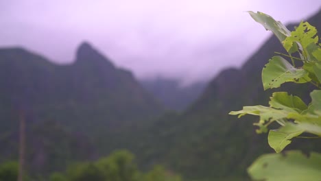 Camera-panning-from-leaves-from-a-bush-to-the-background-with-cloudy-mountains