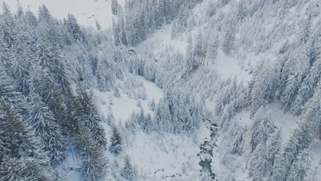 Pintoresca-Escena-De-Invierno-De-Montaña