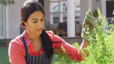 Video-De-Mujer-Birracial-Cuidando-Plantas-En-El-Jardín.