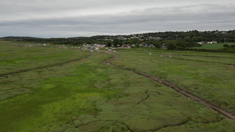 Drone-over-the-green-coast-line-of-Heswall,-Wirral