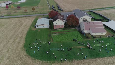 Vista-Ariel-De-Una-Boda-Amish-En-Un-Día-De-Otoño-Con-Buggies,-Un-Amish-Jugando-Voleibol-Visto-Por-Un-Dron