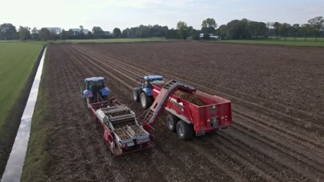 farmers harvesting potato crop with tractors on rural land drone high angle