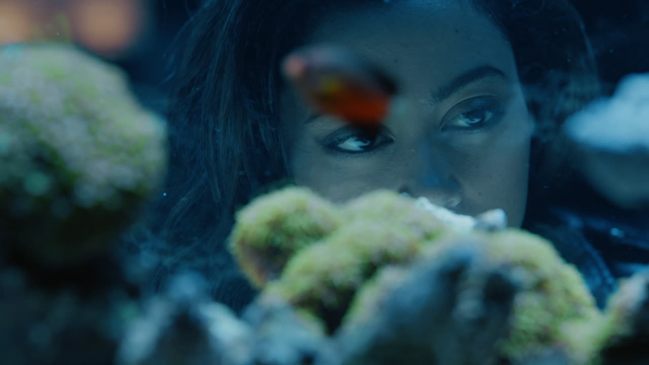 woman looking at colorful fish in aquarium tank watching colorful sea life swimming in corel reef observing marine ecosystem