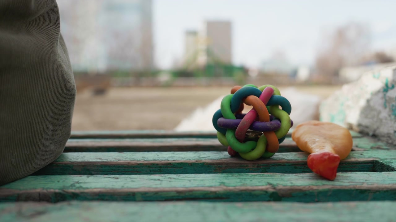Person interacts with dog toys on green wooden surface including picking up and moving objects like baseball. fluffy white animal is visible in background as various pet items are arranged