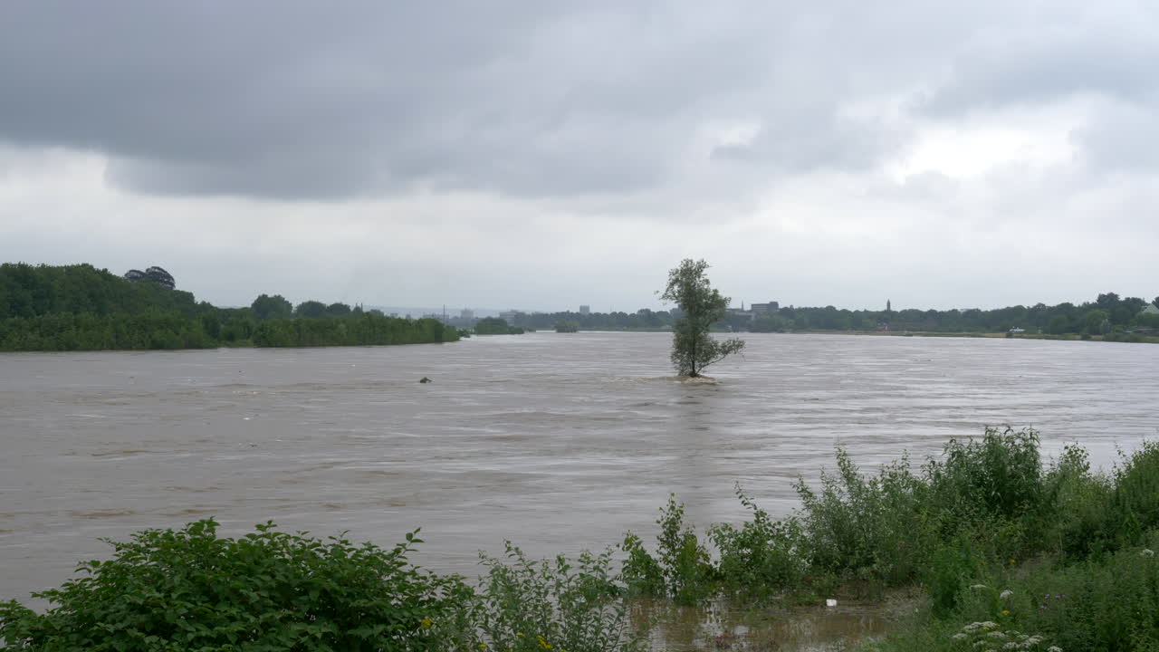극심한 홍수, 뮤즈 강에 흐르는 큰 물, 흐린 날, 삼각대