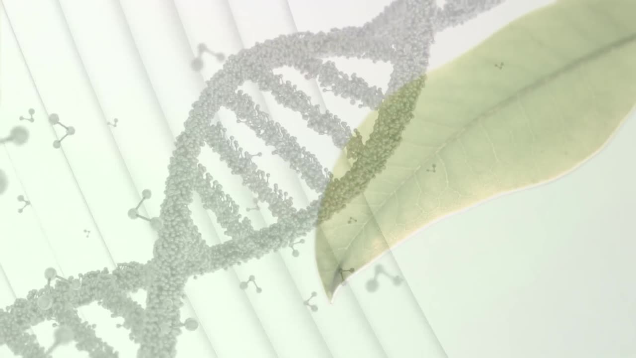 Animazione di strutture di DNA e molecolari su un primo piano di foglie su sfondo grigio.