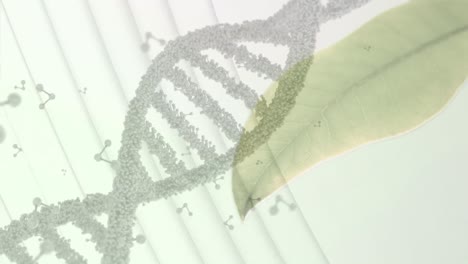 Animation-Von-DNA-Und-Molekularen-Strukturen-über-Nahaufnahme-Von-Blättern-Vor-Grauem-Hintergrund