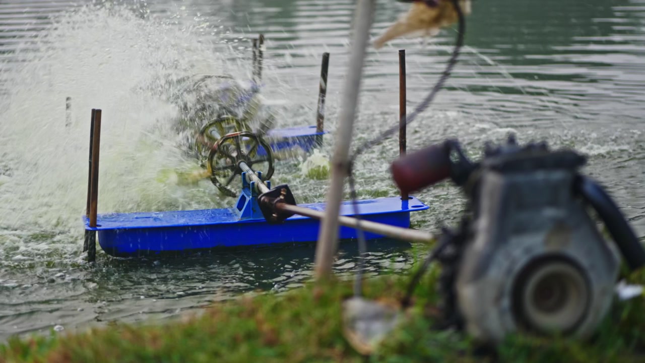 Diesel Engine with running paddle wheel aerator in aquaculture pond at bhimavaram, andhra pradesh, india. day time, stable shot, 4k.