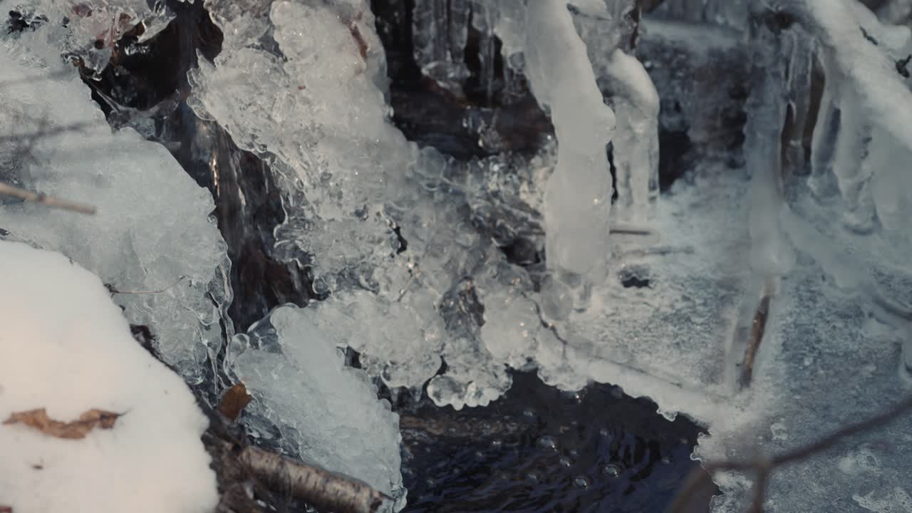 vallee bras-du-nord, quebec, canada - 클로즈업 샷