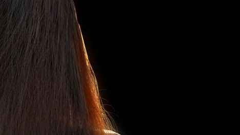 fluttering hair of a girl on black background.