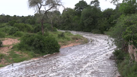 Langsames-Zoomen-Aus-Einem-Saisonalen-Fluss-Im-Krüger-Nationalpark-Mit-Überschwemmungen-Nach-Heftigen-Regenfällen,-Weitwinkelaufnahme