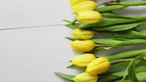 fila de tulipanes amarillos frescos en la mesa de madera blanca