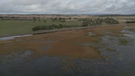 aerial zoom in wetlands swamp and green meadow at the outback of australia