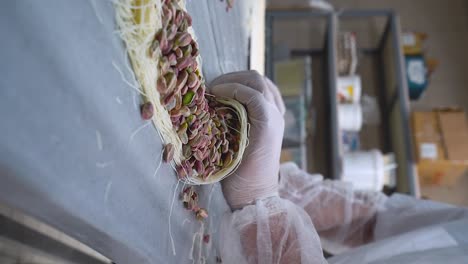 The-oriental-sweets-chef-rolls-the-pistachio-filling-to-make-mabroma-dessert