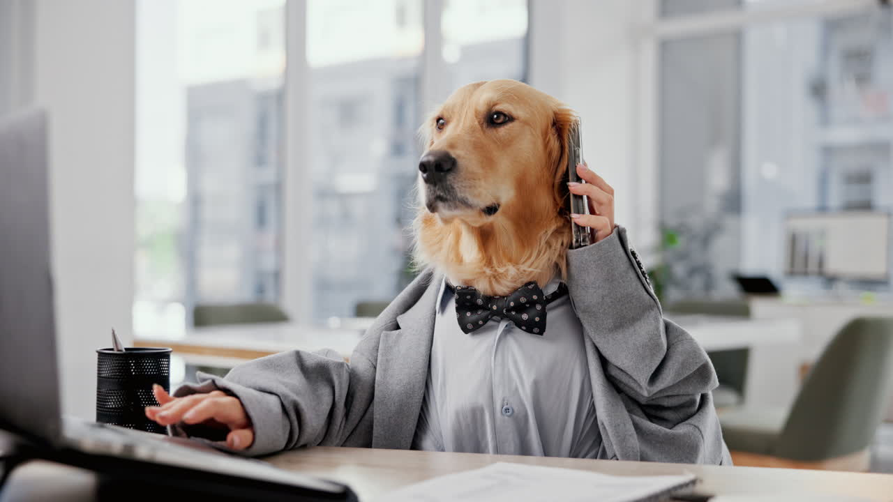 Dog in business attire working in an office