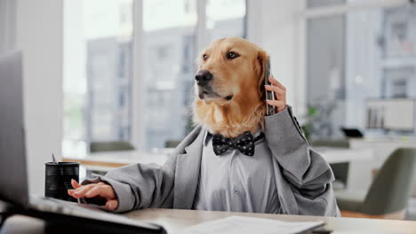 dog in business attire working in an office