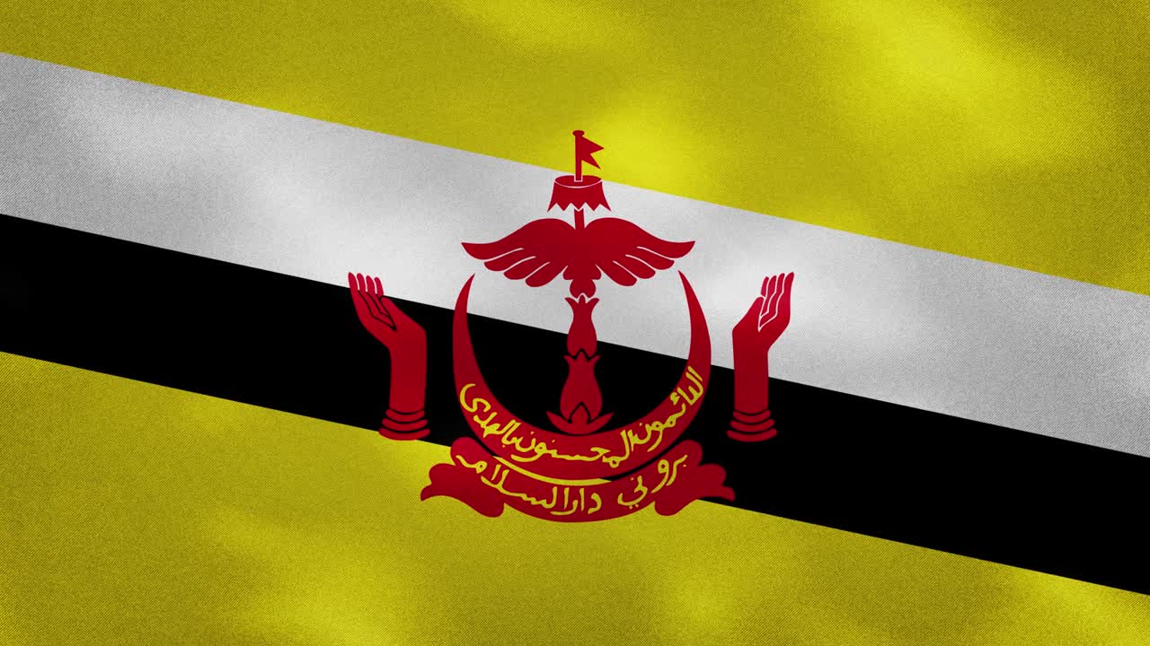 brunei darussalam densa bandera tela ondulaciones, bucle de fondo