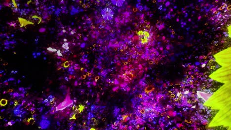 teamlab planets tokyo, un museo en toyosu, tokio