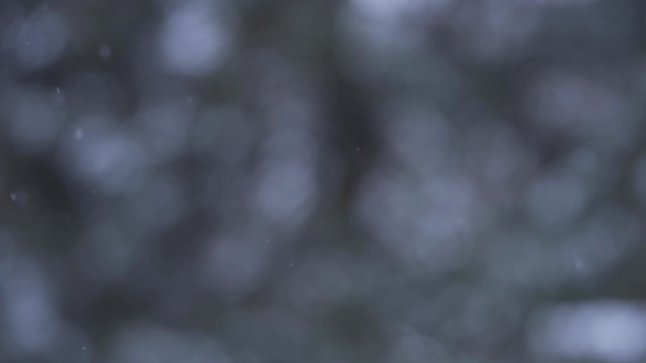 close up of snow falling