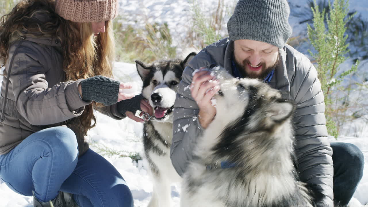 Why a n(ice) day to spend a winter&rsquo;s day