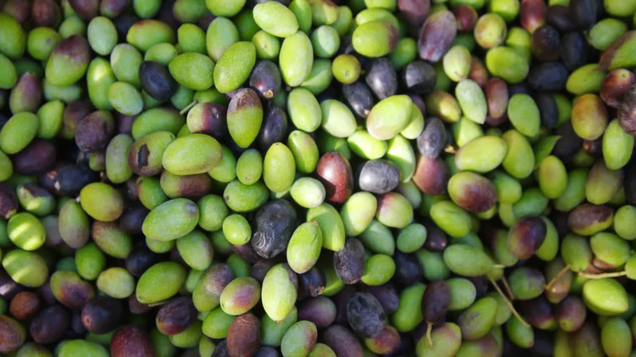 농장 4k에서 올리브로 가득 찬 프레임