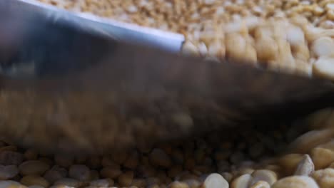 close-up of scooping from a bulk bin of dried split chickpea legumes