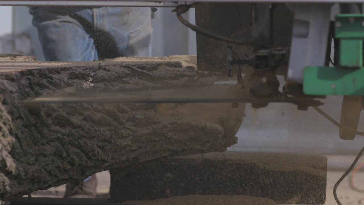 A saw blade slices through a tree trunk at a saw mill, close up slow motion