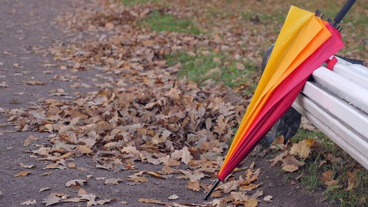 paraguas cerca de un banco en el parque de otoño, nadie