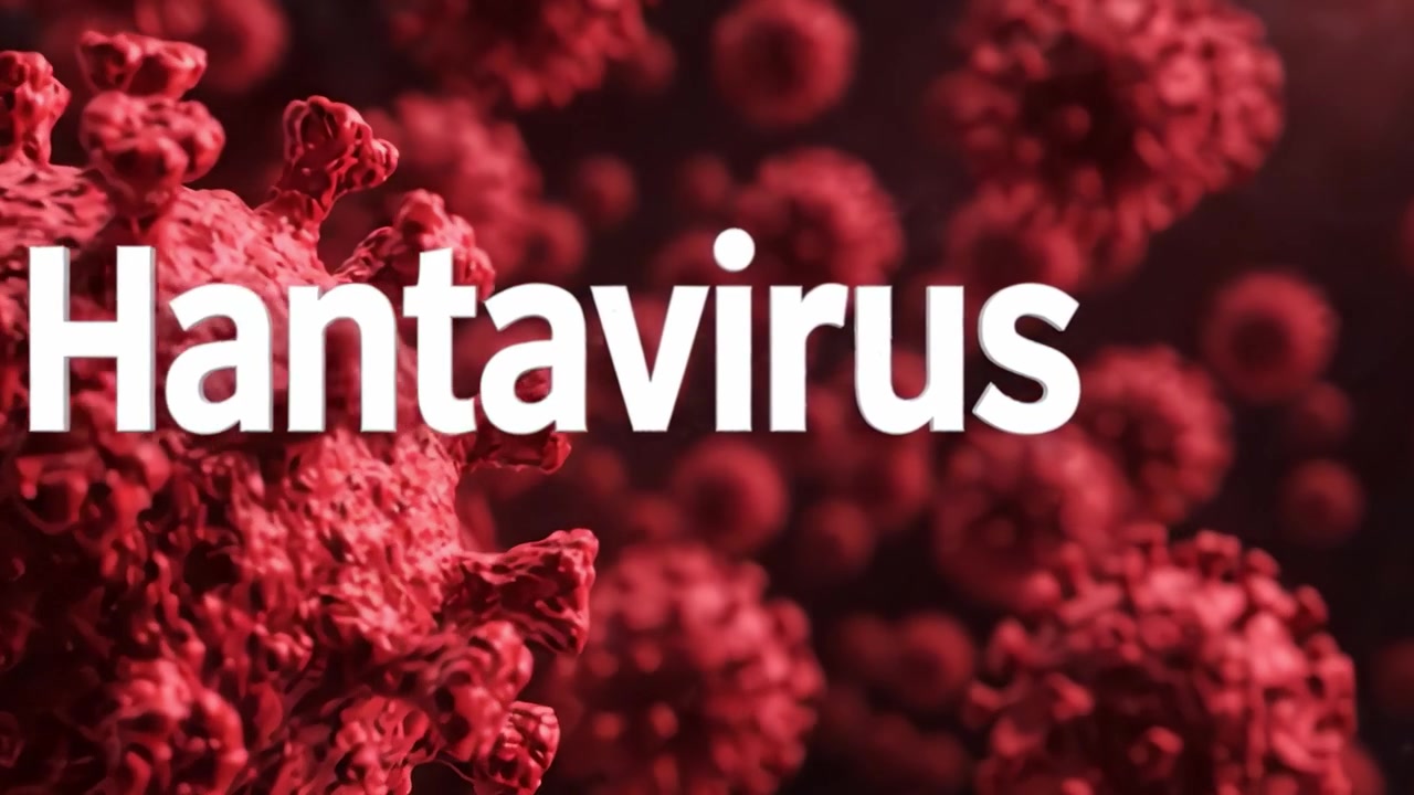 An Intricate View of Hantavirus: Examining Its Structure and Implications in Viral Infections Through Detailed Visual Representation