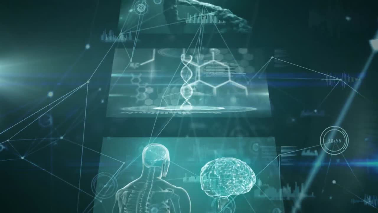 의료 데이터 처리의 디지털로 생성된 비디오