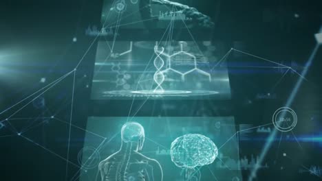 vídeo generado digitalmente del procesamiento de datos médicos