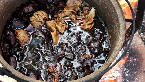stew vegetable meat soup simmer cooking on wood fire outdoor kitchen big flames
