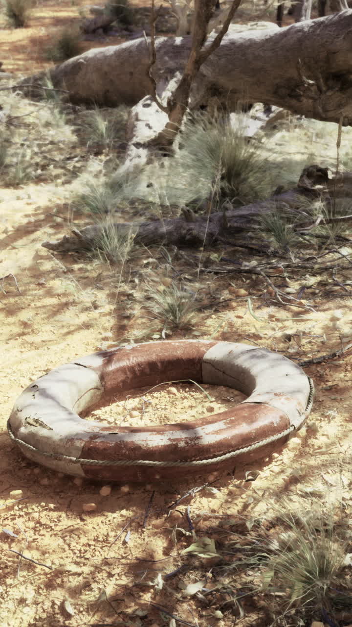 Forgotten lifebuoy rests on cracked earth under a brilliant sun