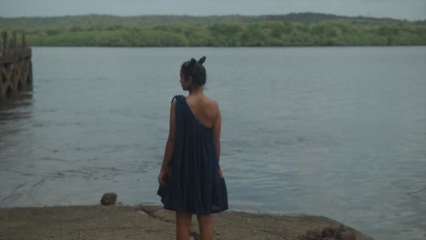 a young woman dressed in an elegant dress, revealing part of her back, stands by the seaside and turns her head to the left