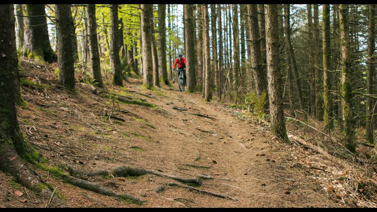 motociclista de montaña montando una bicicleta en el bosque