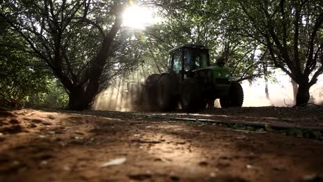 almonds being harvested by a pick-up machine