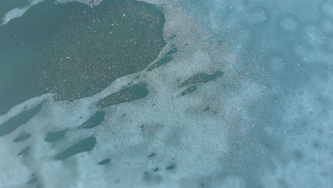 flock of birds flying over frozen lake , aerial shoot from above