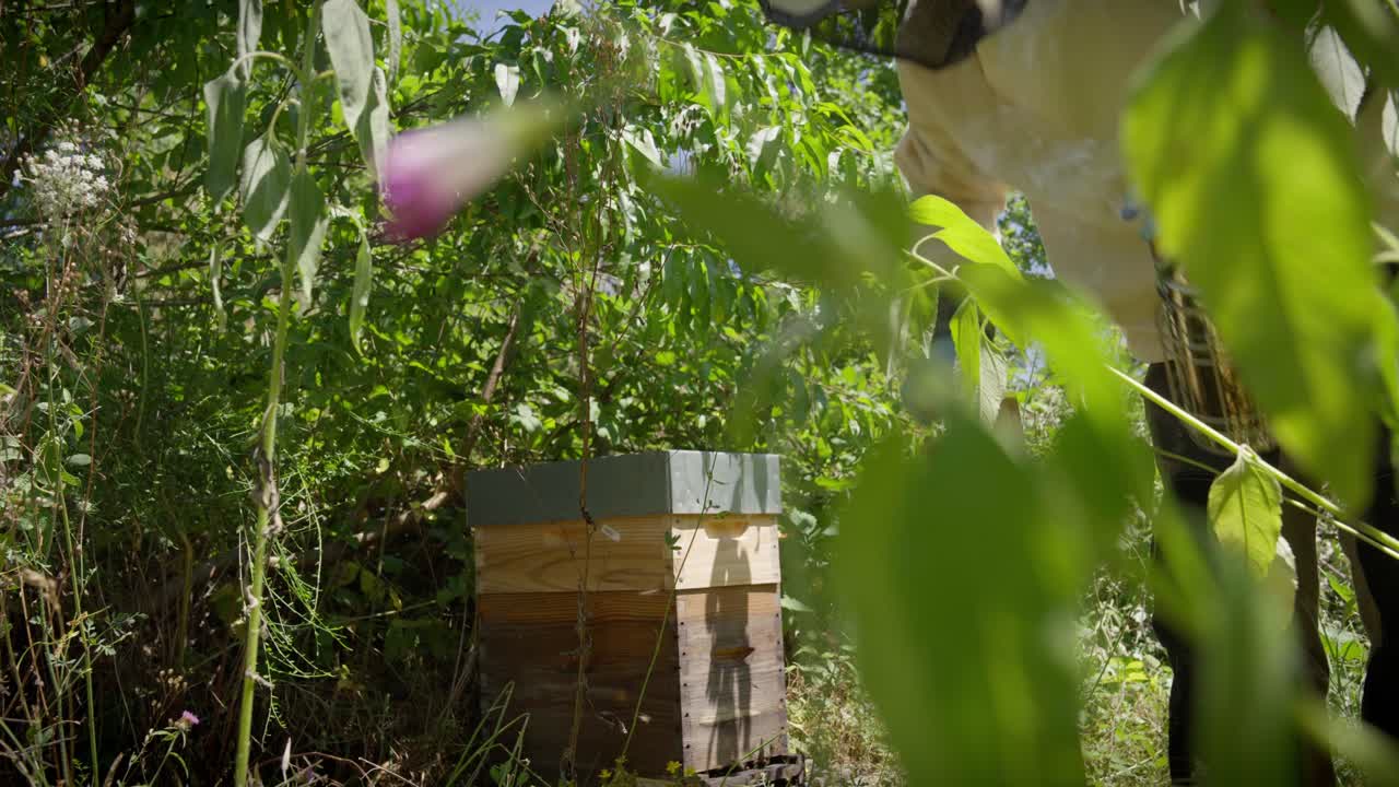 пчеловод, который закончил работать рядом с ульем, выходит из кадра с этими инструментами